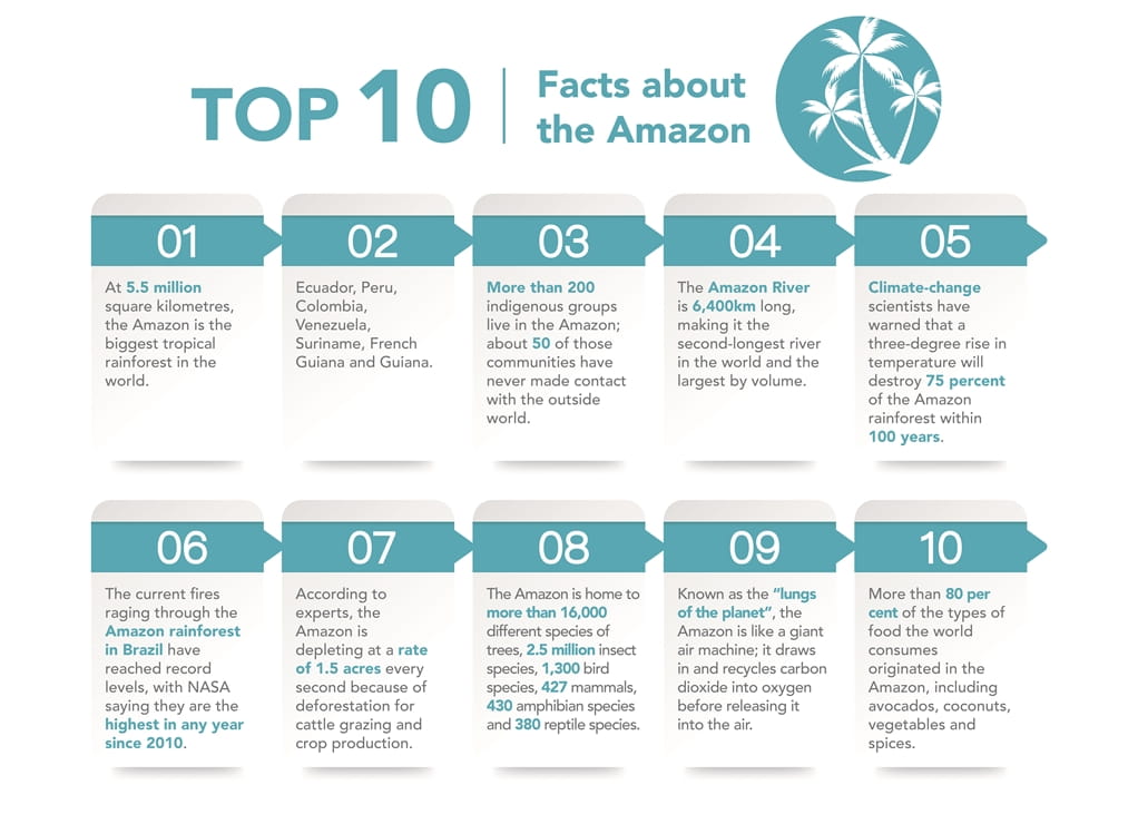 Top 10 Facts about The Amazon